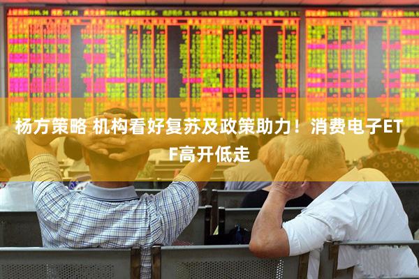 杨方策略 机构看好复苏及政策助力！消费电子ETF高开低走