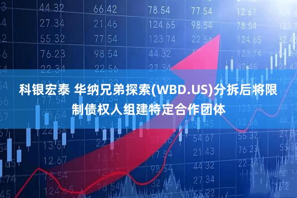 科银宏泰 华纳兄弟探索(WBD.US)分拆后将限制债权人组建特定合作团体