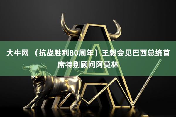 大牛网 （抗战胜利80周年）王毅会见巴西总统首席特别顾问阿莫林